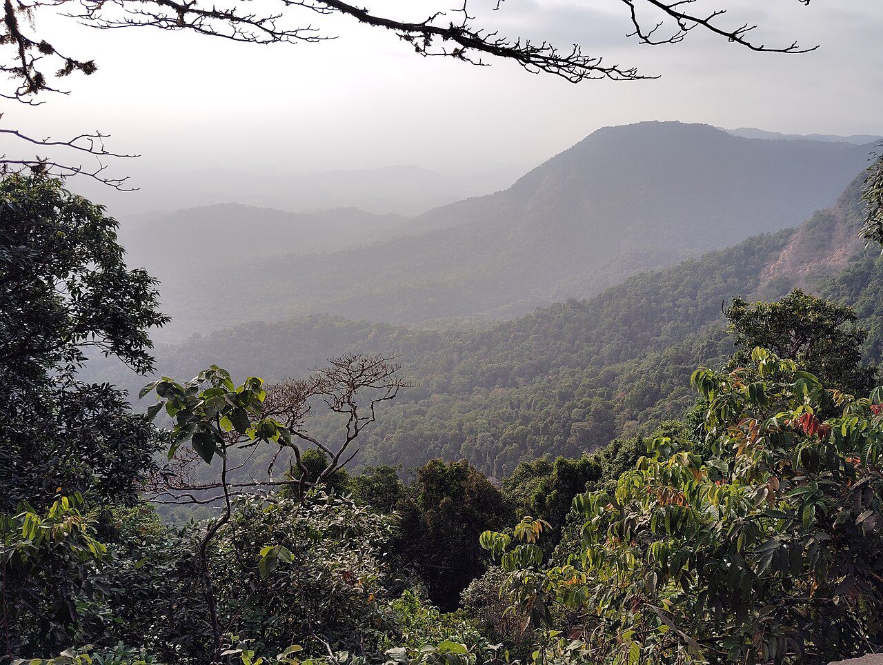 ಶಿವಮೊಗ್ಗ ಜಿಲ್ಲಾ ಸುದ್ದಿ - 9 ಅಕ್ಟೋಬರ್ 2026 photo 2