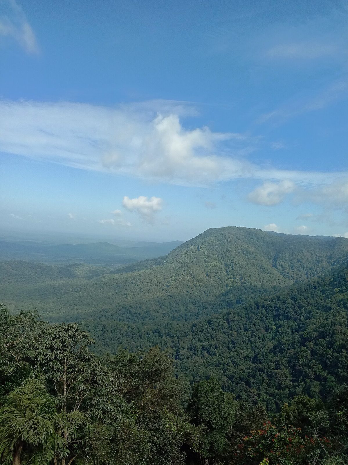 ಶಿವಮೊಗ್ಗ ಜಿಲ್ಲಾ ಸುದ್ದಿ - 18 ಅಕ್ಟೋಬರ್ 2026 photo 1