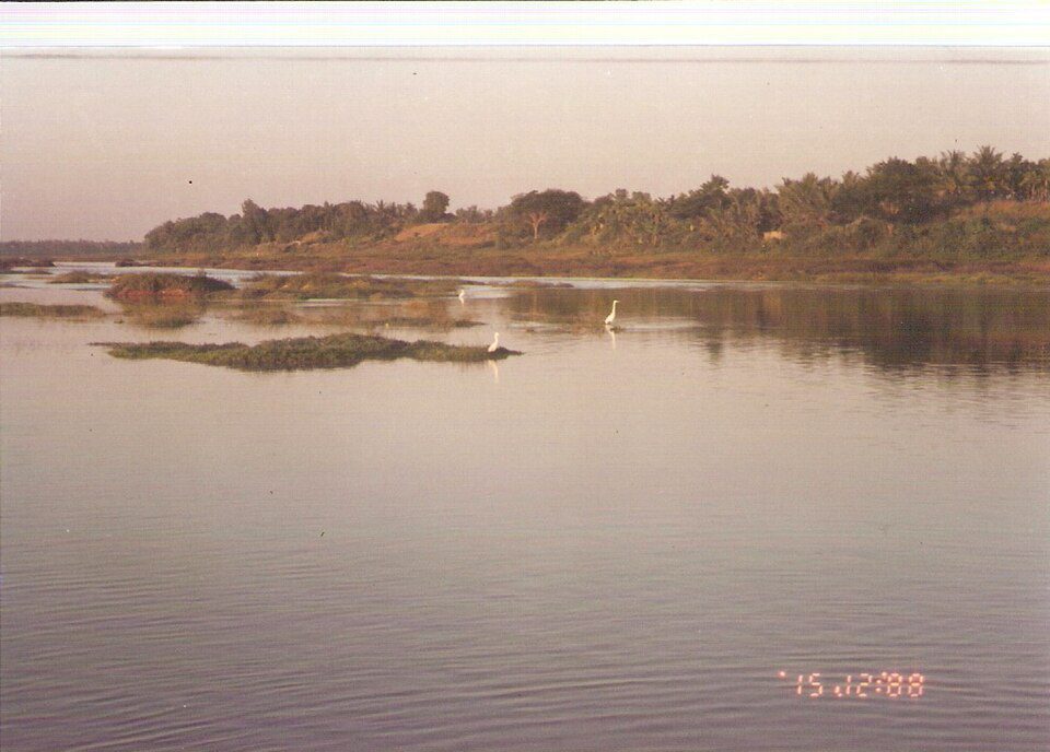 ಶಿವಮೊಗ್ಗ ಜಿಲ್ಲಾ ಸುದ್ದಿ - 3 ಅಕ್ಟೋಬರ್ 2026 photo 4