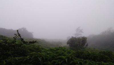 Kundadri: A hilltop above the clouds