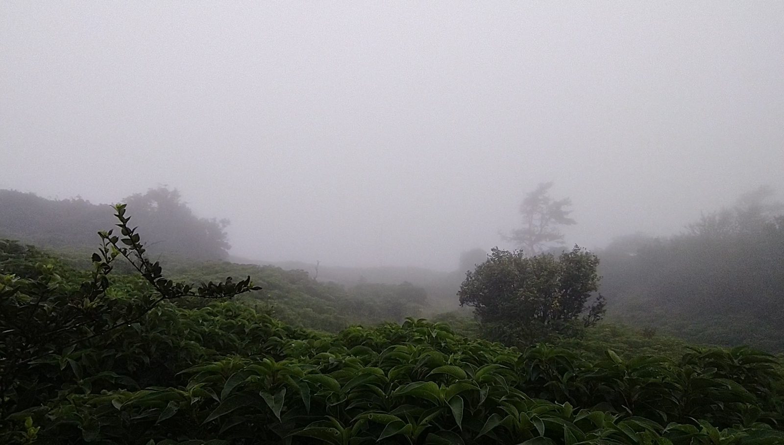 Kundadri: A hilltop above the clouds photo 1