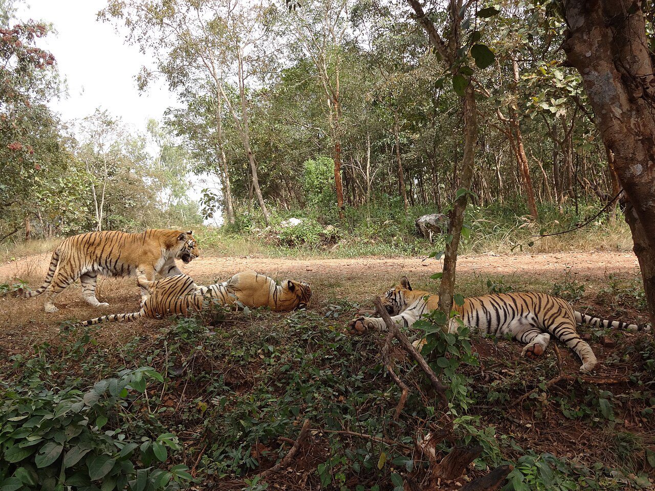 ಶಿವಮೊಗ್ಗ ಜಿಲ್ಲಾ ಸುದ್ದಿ - 17 ಸೆಪ್ಟೆಂಬರ್ 2026 photo 1