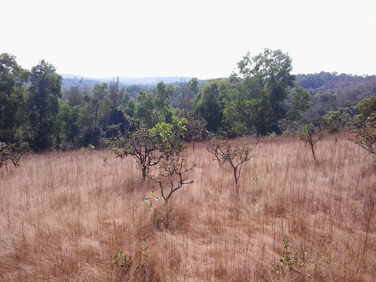 ಶಿವಮೊಗ್ಗ ಜಿಲ್ಲಾ ಸುದ್ದಿ - 20 ಸೆಪ್ಟೆಂಬರ್ 2026 photo 2